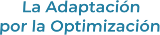 La Adaptaciónpor la Optimización