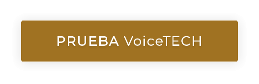PRUEBA VoiceTECH